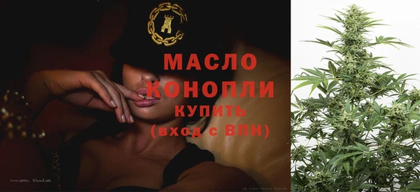 ECSTASY Ельня