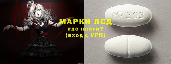 ECSTASY Ельня
