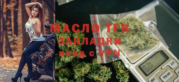 ECSTASY Ельня