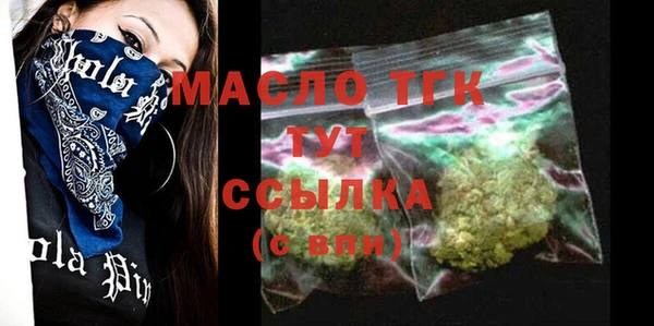 ECSTASY Ельня