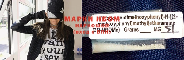 ECSTASY Ельня