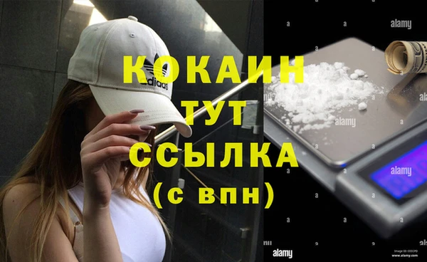 ECSTASY Ельня