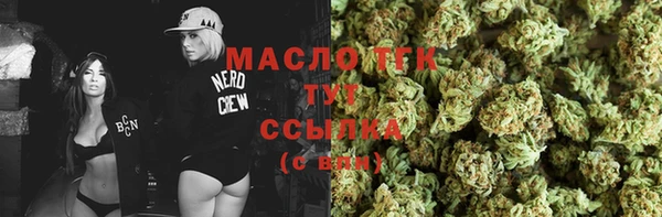 соль ск Елабуга