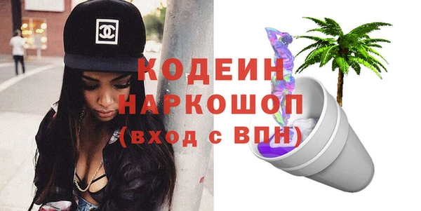 ECSTASY Ельня