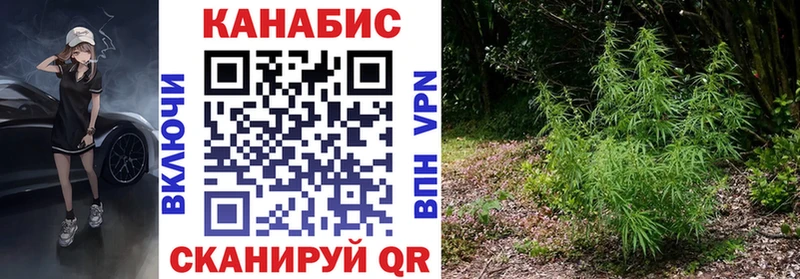 Бошки марихуана Bruce Banner где найти Каменск-Шахтинский